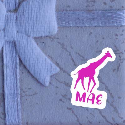 Mae Sticker Giraffe Gift package Image