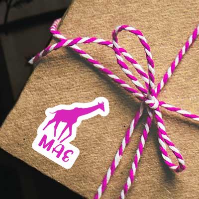 Autocollant Mae Girafe Gift package Image