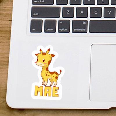 Aufkleber Mae Giraffe Gift package Image