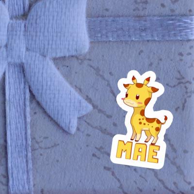 Autocollant Mae Girafe Gift package Image