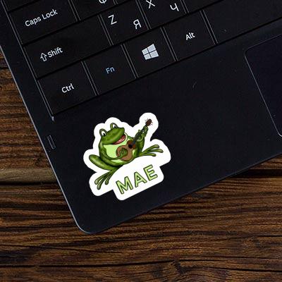 Sticker Mae Guitar Frog Notebook Image