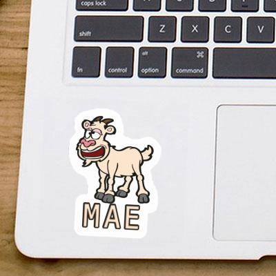 Goat Sticker Mae Gift package Image