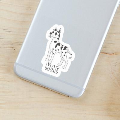 Sticker Mae Great Dane Dog Image