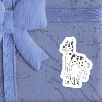 Sticker Mae Great Dane Dog Image