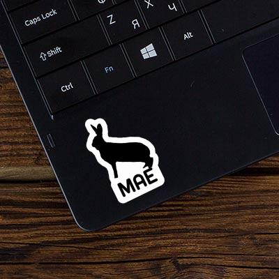 Sticker Hase Mae Laptop Image