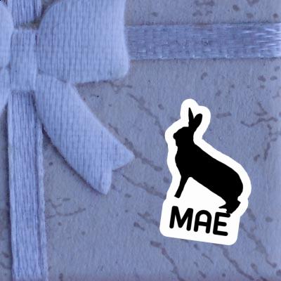 Autocollant Mae Lapin Gift package Image