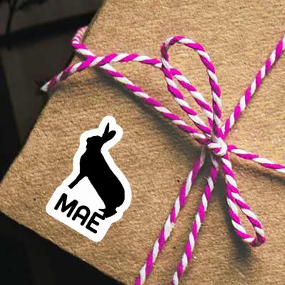 Mae Sticker Rabbit Gift package Image