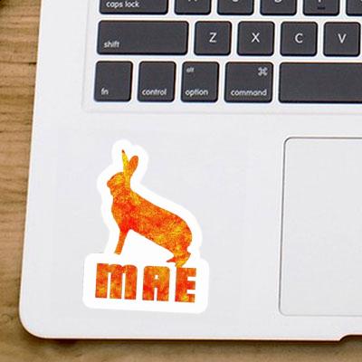 Mae Sticker Rabbit Notebook Image