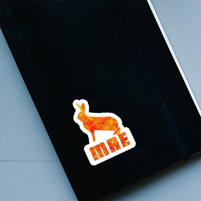 Mae Sticker Rabbit Image