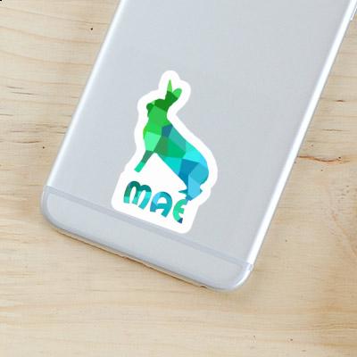 Sticker Mae Rabbit Laptop Image