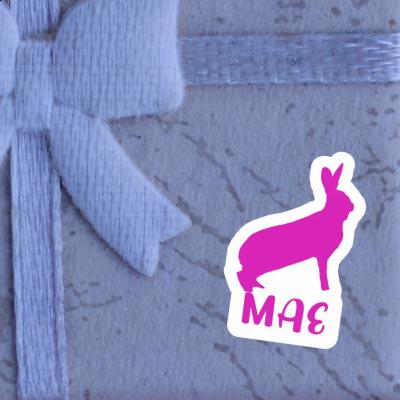 Autocollant Mae Lapin Gift package Image