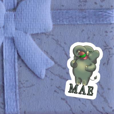 Mae Sticker Hamburger Gift package Image