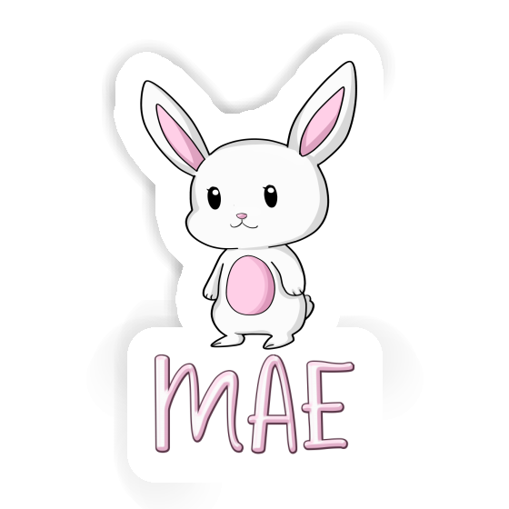 Sticker Rabbit Mae Gift package Image