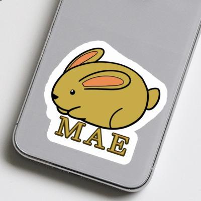 Mae Autocollant Lapin Gift package Image