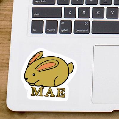 Sticker Mae Hare Laptop Image