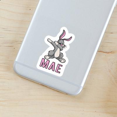 Sticker Dabbing Hare Mae Gift package Image