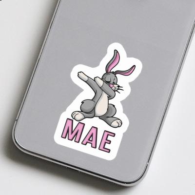 Sticker Dabbing Hare Mae Notebook Image