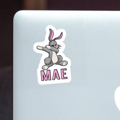 Sticker Dabbing Hare Mae Gift package Image