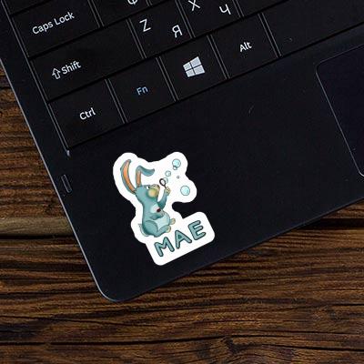 Mae Sticker Hare Laptop Image