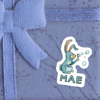 Mae Sticker Hare Laptop Image