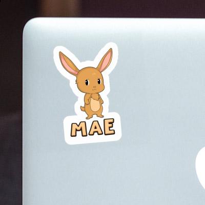 Mae Sticker Easter Bunny Gift package Image