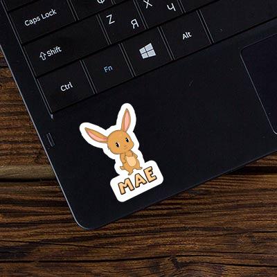 Mae Sticker Easter Bunny Gift package Image