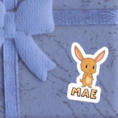 Mae Sticker Easter Bunny Gift package Image