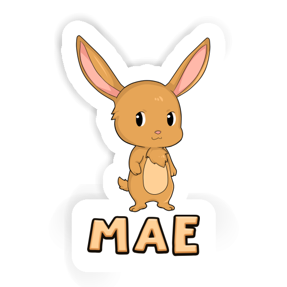 Mae Sticker Easter Bunny Gift package Image