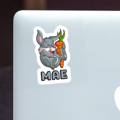 Sticker Mae Rabbits Notebook Image