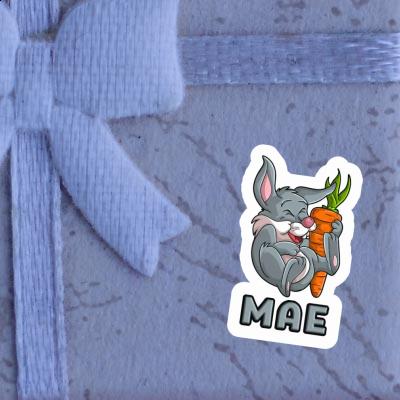 Sticker Mae Rabbits Image