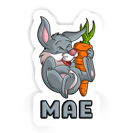 Sticker Mae Rabbits Notebook Image