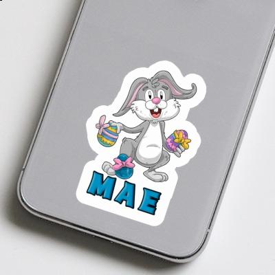 Easter Bunny Sticker Mae Gift package Image