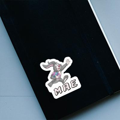 Lapin de rugby Autocollant Mae Gift package Image