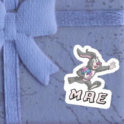 Mae Sticker Easter bunny Gift package Image