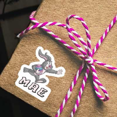 Rugby-Hase Aufkleber Mae Gift package Image