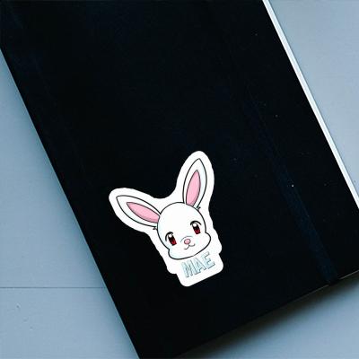 Autocollant Mae Lapin Laptop Image