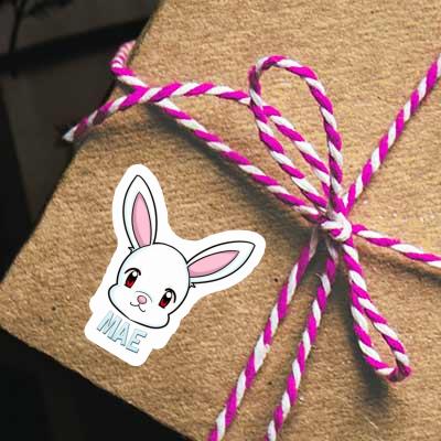 Autocollant Mae Lapin Gift package Image