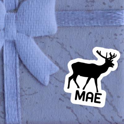 Sticker Mae Deer Gift package Image