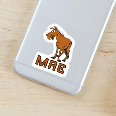 Mae Sticker Horse Gift package Image