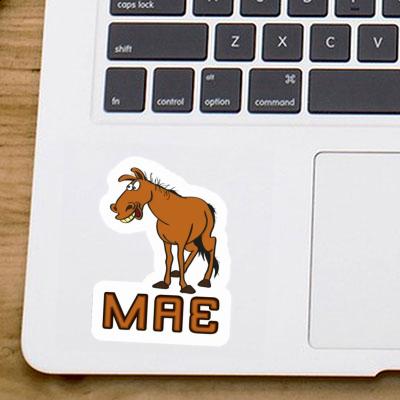 Mae Sticker Horse Laptop Image