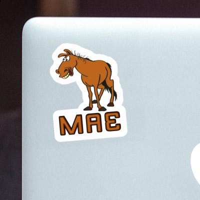 Mae Sticker Horse Image