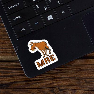 Mae Sticker Horse Notebook Image