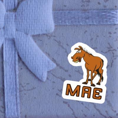 Mae Sticker Horse Image