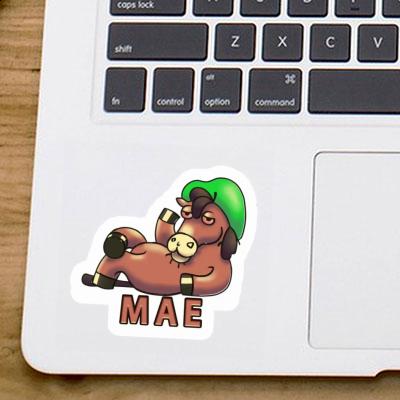 Sticker Mae Lying horse Notebook Image