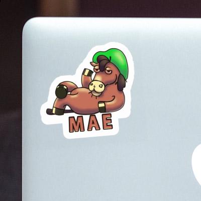 Sticker Mae Lying horse Image