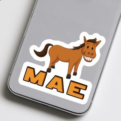 Cheval Autocollant Mae Gift package Image