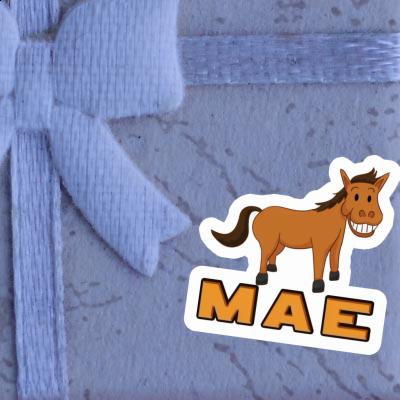 Pferd Aufkleber Mae Gift package Image