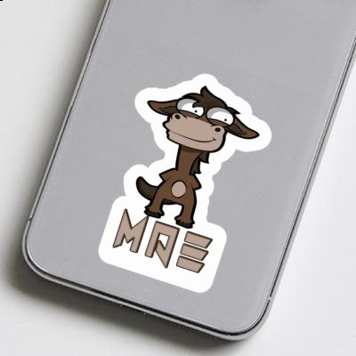 Horse Sticker Mae Image