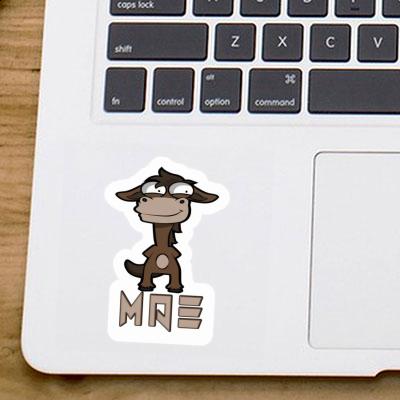 Horse Sticker Mae Laptop Image