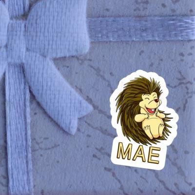 Mae Sticker Hedgehog Gift package Image